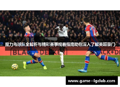 魔力鸟球队全解析与精彩赛事观看指南助你深入了解英超豪门
